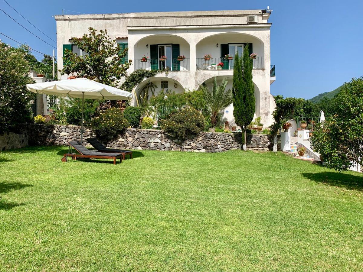 Villa Vincenzo Di Meglio Barano dʼIschia Exterior foto