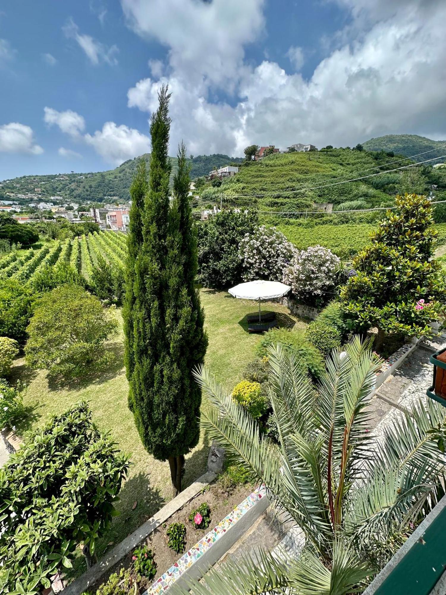 Villa Vincenzo Di Meglio Barano dʼIschia Exterior foto