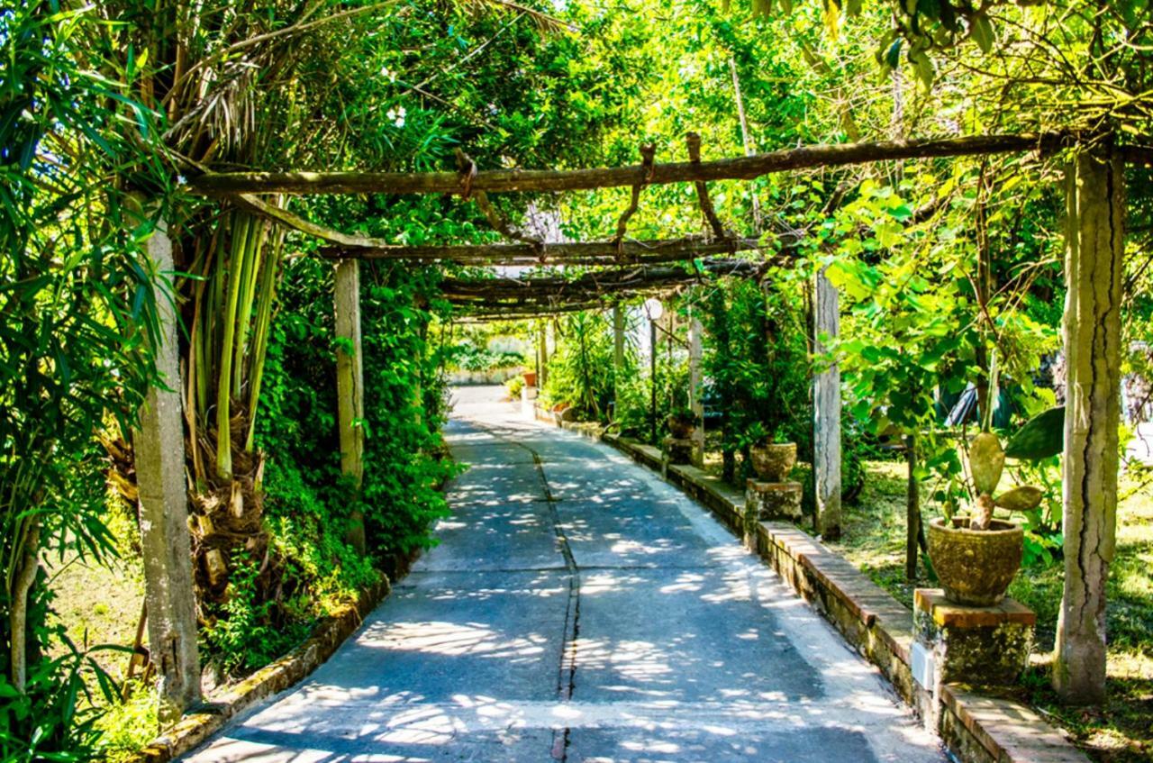 Villa Vincenzo Di Meglio Barano dʼIschia Exterior foto