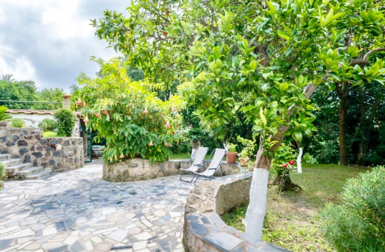 Villa Vincenzo Di Meglio Barano dʼIschia Exterior foto
