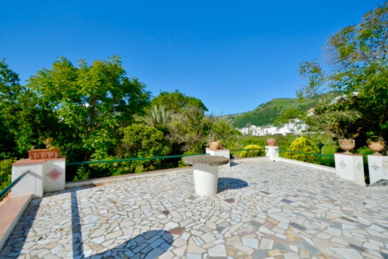Villa Vincenzo Di Meglio Barano dʼIschia Exterior foto